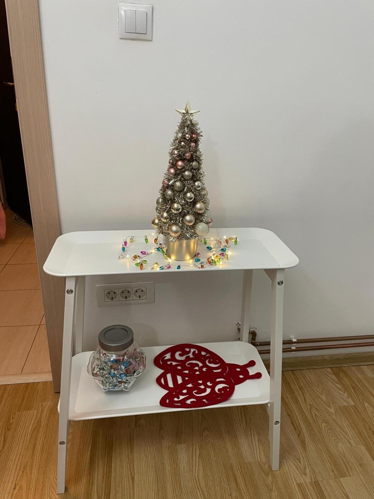 Garsoniera Ioana Apartman Sinaia Kültér fotó